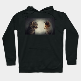 two kittens Hoodie